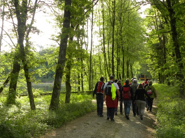 lohwallfahrt 2018 08